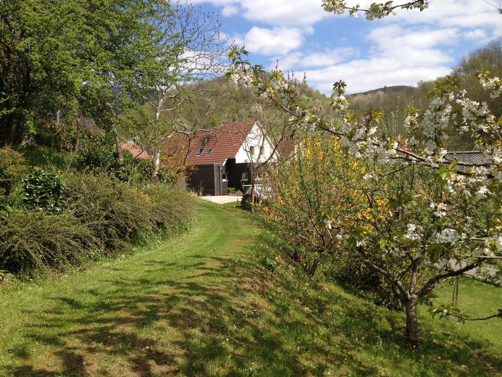 Gite Bellevue Breitenbach Pokoj fotografie