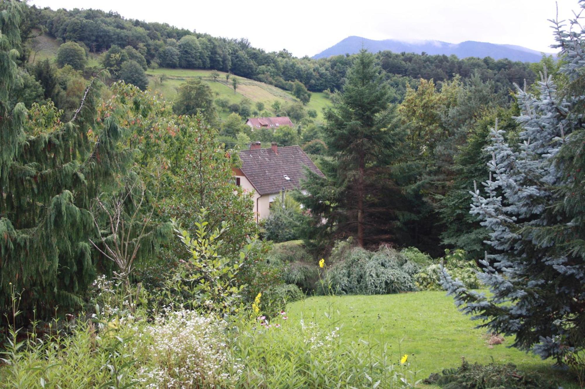 Gite Bellevue Breitenbach Exteriér fotografie